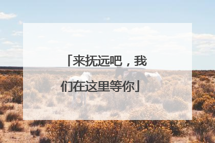 来抚远吧，我们在这里等你