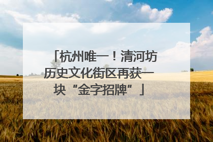 杭州唯一！清河坊历史文化街区再获一块“金字招牌”
