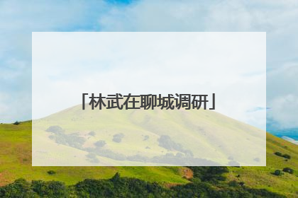 林武在聊城调研