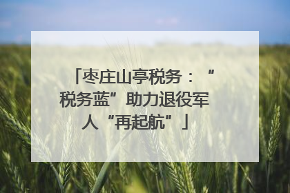枣庄山亭税务：“税务蓝”助力退役军人“再起航”