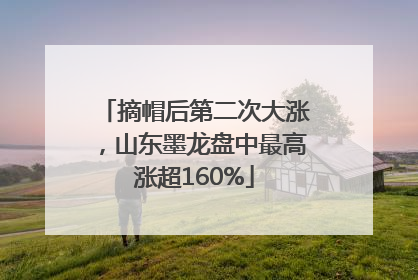 摘帽后第二次大涨，山东墨龙盘中最高涨超160%