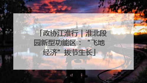 政协江淮行｜淮北段园新型功能区：“飞地经济”拔节生长