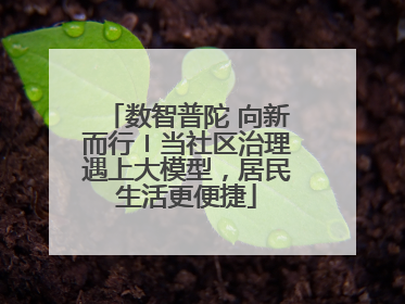 数智普陀 向新而行〡当社区治理遇上大模型，居民生活更便捷