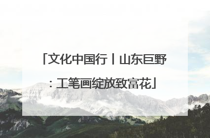 文化中国行丨山东巨野：工笔画绽放致富花