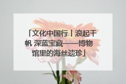 文化中国行丨浪起千帆 深蓝宝藏——博物馆里的海丝遗珍