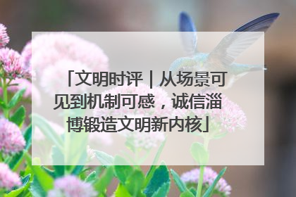 文明时评｜从场景可见到机制可感，诚信淄博锻造文明新内核