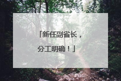 新任副省长，分工明确！