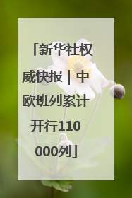 新华社权威快报｜中欧班列累计开行110000列