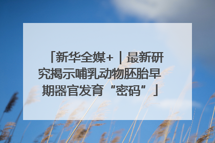 新华全媒+｜最新研究揭示哺乳动物胚胎早期器官发育“密码”
