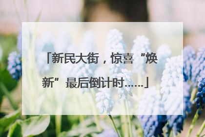 新民大街，惊喜“焕新”最后倒计时……