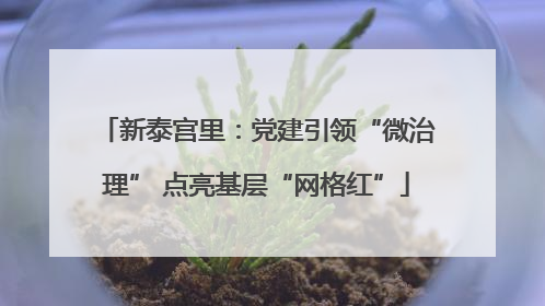 新泰宫里：党建引领“微治理” 点亮基层“网格红”