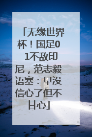 无缘世界杯！国足0-1不敌印尼，范志毅语塞：早没信心了但不甘心