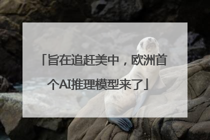 旨在追赶美中，欧洲首个AI推理模型来了