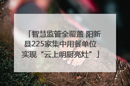 智慧监管全覆盖 阳新县225家集中用餐单位实现“云上明厨亮灶”