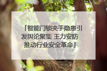 智能门锁夹手隐患引发舆论聚集 王力安防推动行业安全革命