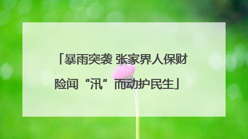 暴雨突袭 张家界人保财险闻“汛”而动护民生