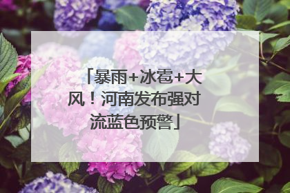 暴雨+冰雹+大风！河南发布强对流蓝色预警