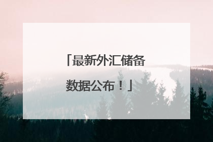 最新外汇储备数据公布！