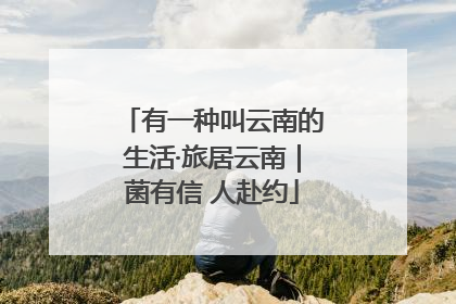 有一种叫云南的生活·旅居云南｜菌有信 人赴约