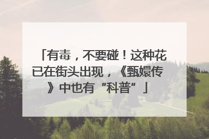 有毒，不要碰！这种花已在街头出现，《甄嬛传》中也有“科普”