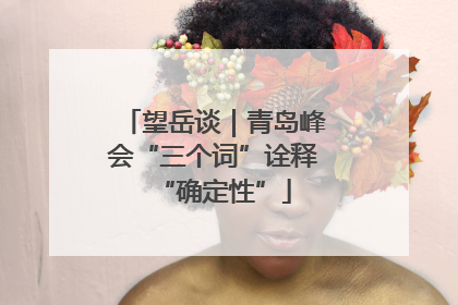 望岳谈｜青岛峰会“三个词”诠释“确定性”