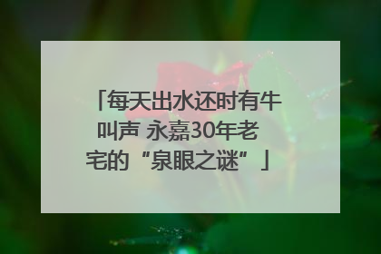 每天出水还时有牛叫声 永嘉30年老宅的“泉眼之谜”