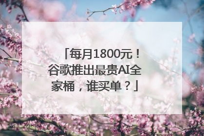 每月1800元！谷歌推出最贵AI全家桶，谁买单？