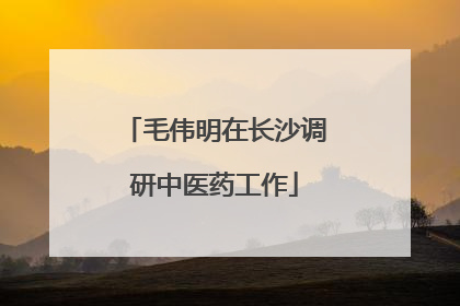 毛伟明在长沙调研中医药工作