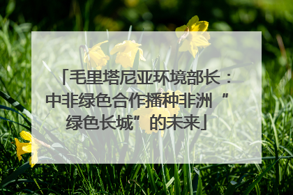 毛里塔尼亚环境部长：中非绿色合作播种非洲“绿色长城”的未来