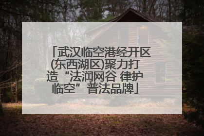 武汉临空港经开区(东西湖区)聚力打造“法润网谷 律护临空”普法品牌