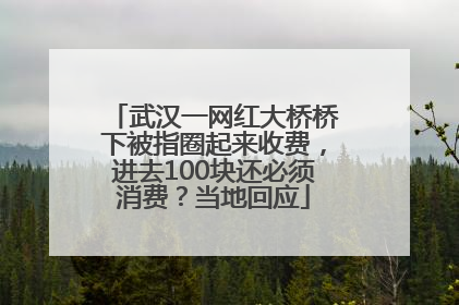 武汉一网红大桥桥下被指圈起来收费，进去100块还必须消费？当地回应