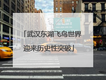 武汉东湖飞鸟世界迎来历史性突破