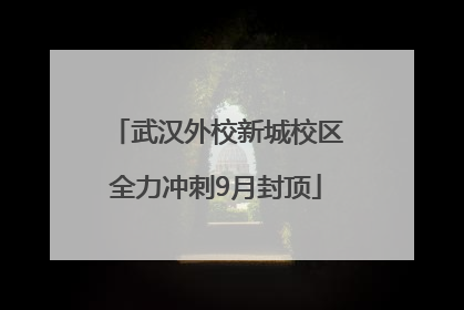 武汉外校新城校区全力冲刺9月封顶