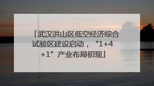 武汉洪山区低空经济综合试验区建设启动，“1+4+1”产业布局初现