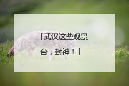 武汉这些观景台，封神！