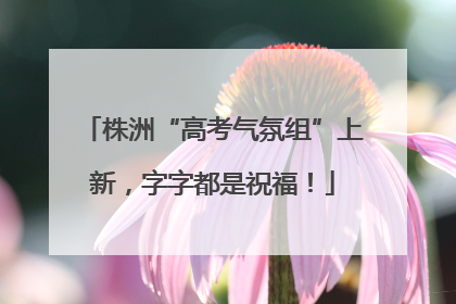 株洲“高考气氛组”上新，字字都是祝福！