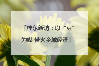 桂东新坊：以“豆”为媒 带火乡域经济