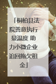 桐柏县法院善意执行显温度 助力小微企业追回拖欠租金