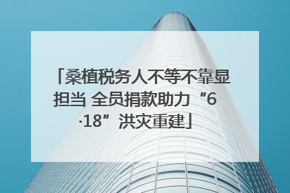 桑植税务人不等不靠显担当 全员捐款助力“6·18”洪灾重建