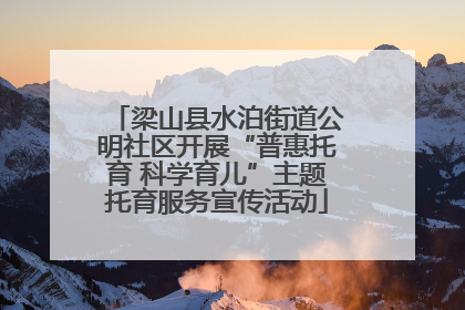 梁山县水泊街道公明社区开展“普惠托育 科学育儿”主题托育服务宣传活动