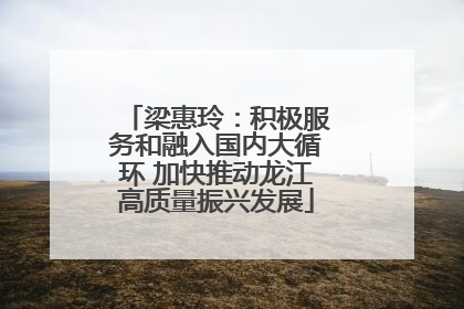 梁惠玲：积极服务和融入国内大循环 加快推动龙江高质量振兴发展