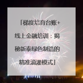梯度培育台账+线上金融培训：揭秘新泰绿色制造的精准滴灌模式