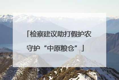 检察建议助打假护农守护“中原粮仓”