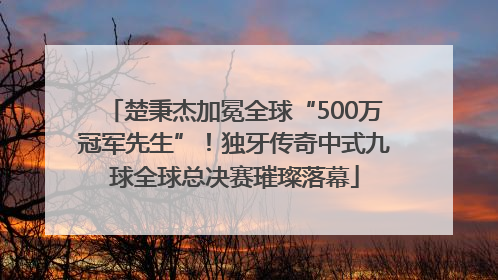 楚秉杰加冕全球“500万冠军先生”！独牙传奇中式九球全球总决赛璀璨落幕