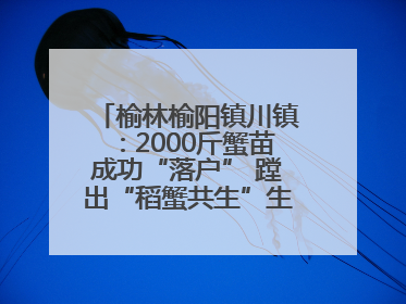 榆林榆阳镇川镇：2000斤蟹苗成功“落户” 蹚出“稻蟹共生”生态种养新路径