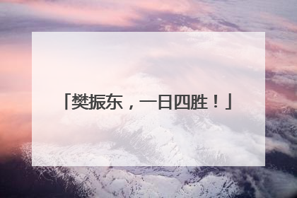 樊振东，一日四胜！