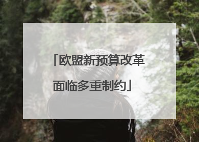 欧盟新预算改革面临多重制约