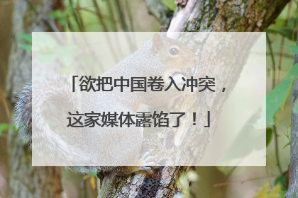欲把中国卷入冲突，这家媒体露馅了！