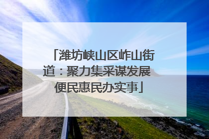 潍坊峡山区岞山街道：聚力集采谋发展 便民惠民办实事