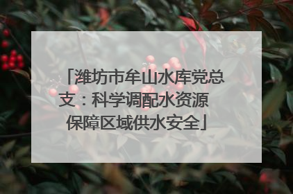 潍坊市牟山水库党总支：科学调配水资源 保障区域供水安全